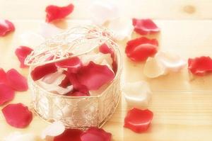 名古屋市のアットホームな結婚相談所