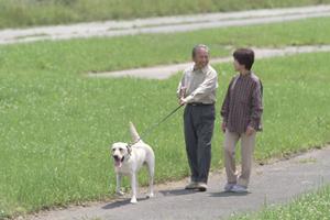 マリッジリングを扱う広島の宝石ブランド